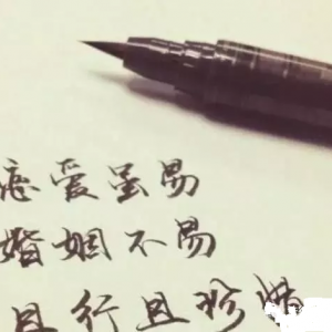 ͬӱ֤顢ҳЭ顱Ч